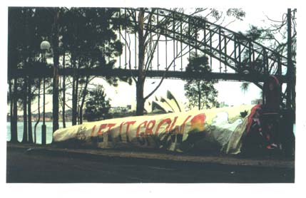 Big Joint under the Harbour Bridge