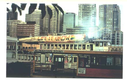 The Big Joint on the Harbour Ferry