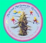 Ganja fairies gathering the harvest
