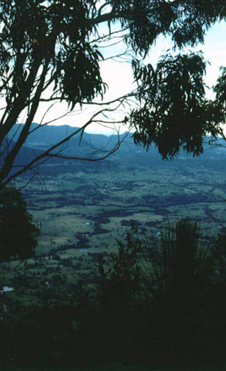 This is the view from the Border ranges, brushbox lookout, on a clear day you can see all the way to the coast. These mountain ranges are on the southern rim of an extinct volcano.    Click here to go back or scroll for more.   :o)