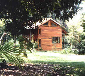 Rainforest haven.
