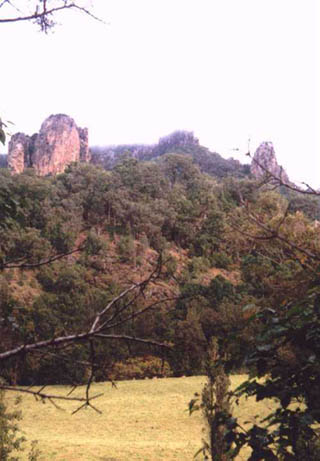 The Nimbin rocks, home of sleeping giants.  Click here to go back or scroll for more.    :o)