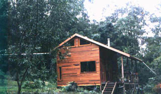 Rainforest haven.  Click to go back, or scroll down for more.
