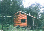 Rainforest haven.