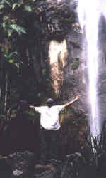 Protestors falls, Nightcap national park.