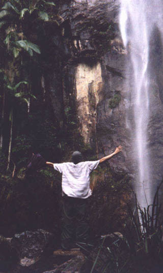Protestors falls, Nightcap national Park. Click to go back or scroll up for more.    :o)