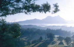 Mt. Warning towering on the valleys